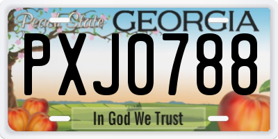 GA license plate PXJ0788