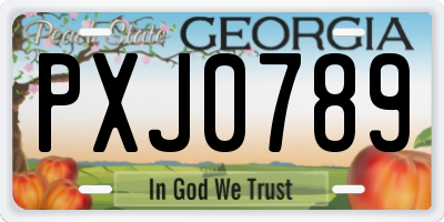 GA license plate PXJ0789