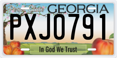 GA license plate PXJ0791