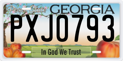 GA license plate PXJ0793