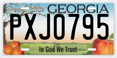 GA license plate PXJ0795
