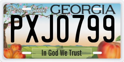 GA license plate PXJ0799