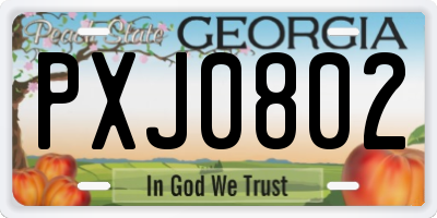 GA license plate PXJ0802