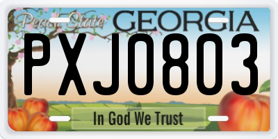 GA license plate PXJ0803