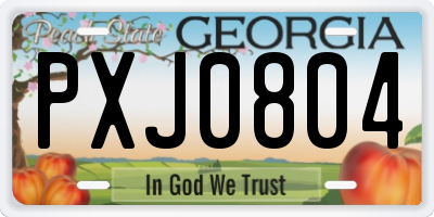 GA license plate PXJ0804