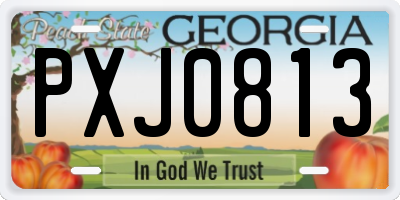 GA license plate PXJ0813