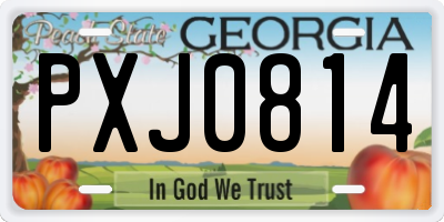 GA license plate PXJ0814