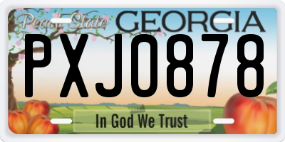 GA license plate PXJ0878