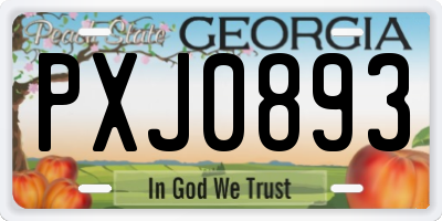 GA license plate PXJ0893