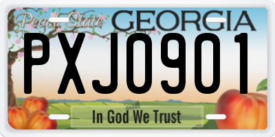 GA license plate PXJ0901