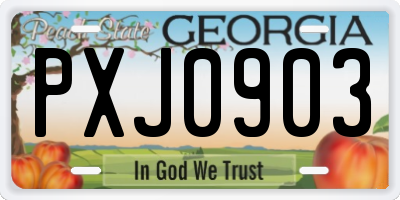 GA license plate PXJ0903