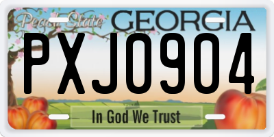 GA license plate PXJ0904