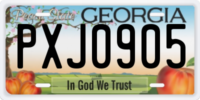 GA license plate PXJ0905