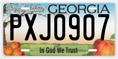 GA license plate PXJ0907