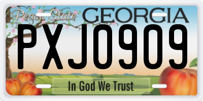 GA license plate PXJ0909