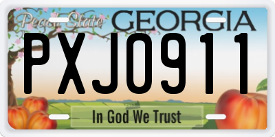 GA license plate PXJ0911