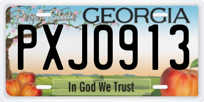 GA license plate PXJ0913
