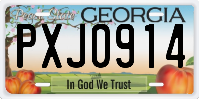 GA license plate PXJ0914