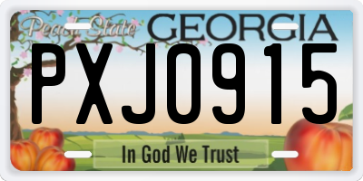 GA license plate PXJ0915