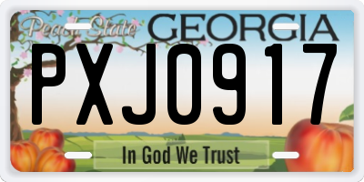 GA license plate PXJ0917