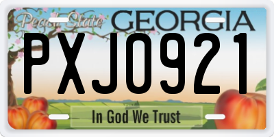 GA license plate PXJ0921