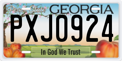 GA license plate PXJ0924