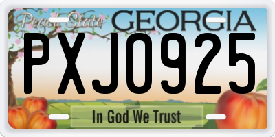 GA license plate PXJ0925