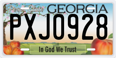 GA license plate PXJ0928