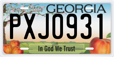 GA license plate PXJ0931