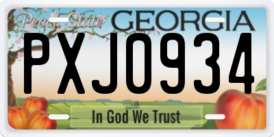GA license plate PXJ0934