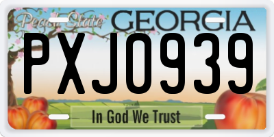GA license plate PXJ0939