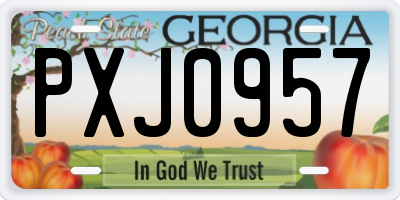 GA license plate PXJ0957