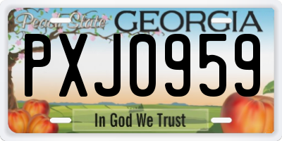 GA license plate PXJ0959
