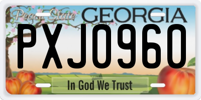 GA license plate PXJ0960
