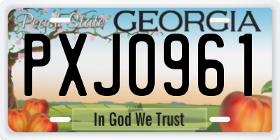 GA license plate PXJ0961