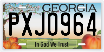 GA license plate PXJ0964