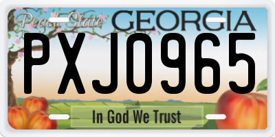 GA license plate PXJ0965