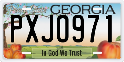 GA license plate PXJ0971