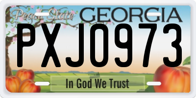 GA license plate PXJ0973