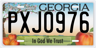 GA license plate PXJ0976