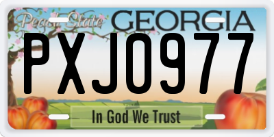 GA license plate PXJ0977