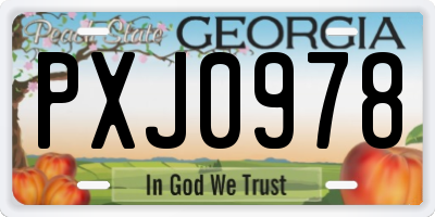GA license plate PXJ0978