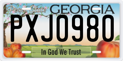 GA license plate PXJ0980