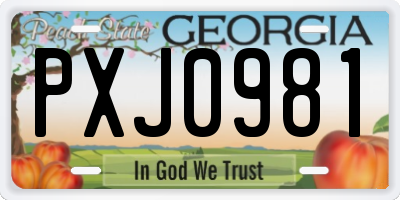 GA license plate PXJ0981