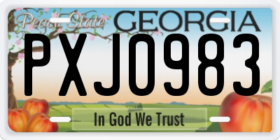 GA license plate PXJ0983