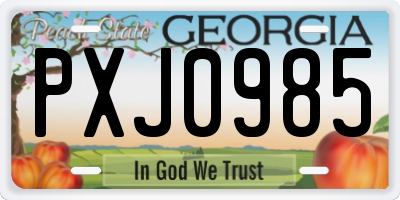 GA license plate PXJ0985