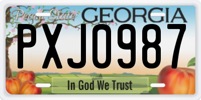 GA license plate PXJ0987