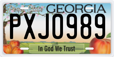 GA license plate PXJ0989