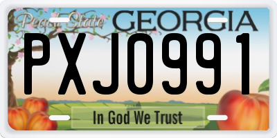 GA license plate PXJ0991