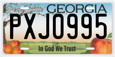 GA license plate PXJ0995